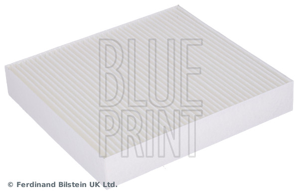 ADBP250056 BLUE PRINT